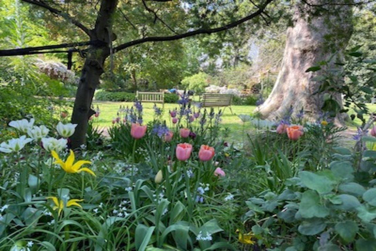 Eccleston Square Hotel Londres Exterior foto